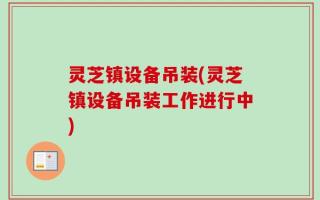 灵芝镇设备吊装(灵芝镇设备吊装工作进行中)