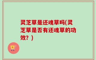 灵芝草是还魂草吗(灵芝草是否有还魂草的功效？)