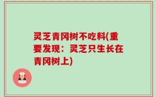 灵芝青冈树不吃料(重要发现：灵芝只生长在青冈树上)