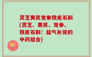 灵芝黄芪党参铁皮石斛(灵芝、黄芪、党参、铁皮石斛：益气补肾的中药组合)