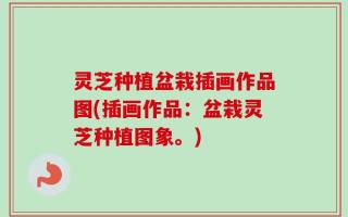 灵芝种植盆栽插画作品图(插画作品：盆栽灵芝种植图象。)
