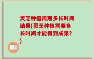 灵芝种植周期多长时间结果(灵芝种植需要多长时间才能得到成果？)