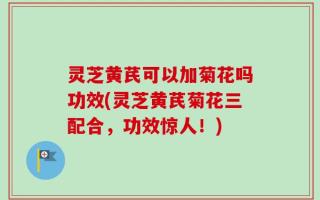 灵芝黄芪可以加菊花吗功效(灵芝黄芪菊花三配合，功效惊人！)