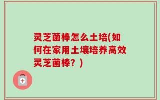 灵芝菌棒怎么土培(如何在家用土壤培养高效灵芝菌棒？)