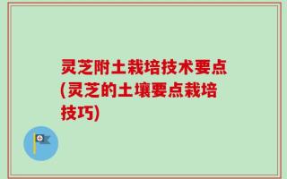 灵芝附土栽培技术要点(灵芝的土壤要点栽培技巧)
