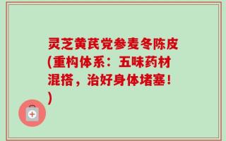灵芝黄芪党参麦冬陈皮(重构体系：五味药材混搭，治好身体堵塞！)