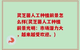 灵芝菌人工种植前景怎么样(灵芝菌人工种植前景光明：市场潜力大，越来越受欢迎。)