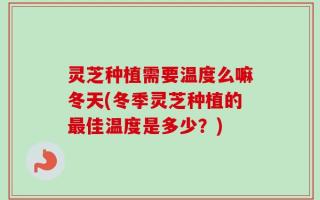 灵芝种植需要温度么嘛冬天(冬季灵芝种植的最佳温度是多少？)