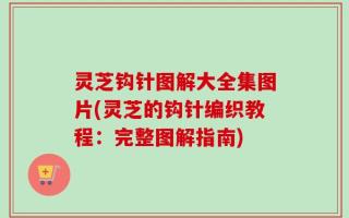 灵芝钩针图解大全集图片(灵芝的钩针编织教程：完整图解指南)
