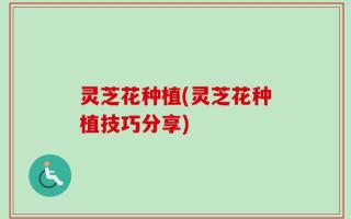 灵芝花种植(灵芝花种植技巧分享)