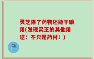 灵芝除了药物还能干嘛用(发现灵芝的其他用途：不只是药材！)