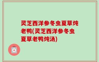 灵芝西洋参冬虫夏草炖老鸭(灵芝西洋参冬虫夏草老鸭炖汤)