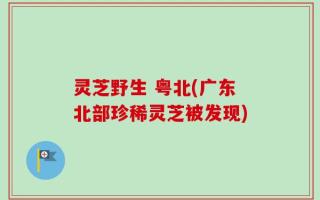 灵芝野生 粤北(广东北部珍稀灵芝被发现)