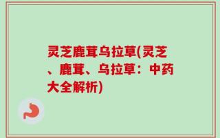 灵芝鹿茸乌拉草(灵芝、鹿茸、乌拉草：中药大全解析)