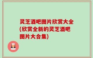 灵芝酒吧图片欣赏大全(欣赏全新的灵芝酒吧图片大合集)