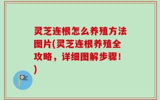 灵芝连根怎么养殖方法图片(灵芝连根养殖全攻略，详细图解步骤！)