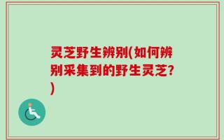 灵芝野生辨别(如何辨别采集到的野生灵芝？)