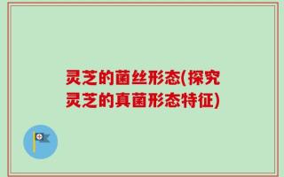 灵芝的菌丝形态(探究灵芝的真菌形态特征)