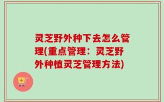灵芝野外种下去怎么管理(重点管理：灵芝野外种植灵芝管理方法)