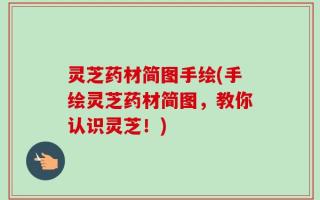 灵芝药材简图手绘(手绘灵芝药材简图，教你认识灵芝！)