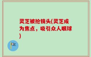 灵芝被抢镜头(灵芝成为焦点，吸引众人眼球)