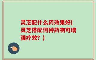 灵芝配什么药效果好(灵芝搭配何种药物可增强疗效？)