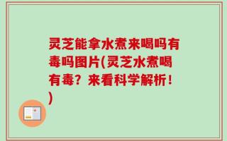 灵芝能拿水煮来喝吗有毒吗图片(灵芝水煮喝有毒？来看科学解析！)