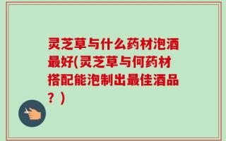 灵芝草与什么药材泡酒最好(灵芝草与何药材搭配能泡制出最佳酒品？)