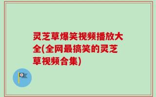 灵芝草爆笑视频播放大全(全网最搞笑的灵芝草视频合集)