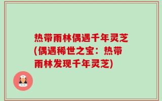 热带雨林偶遇千年灵芝(偶遇稀世之宝：热带雨林发现千年灵芝)