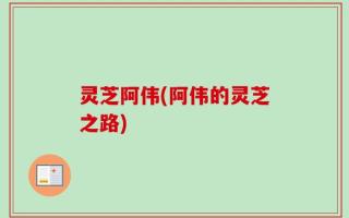 灵芝阿伟(阿伟的灵芝之路)