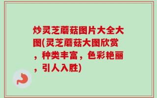 炒灵芝蘑菇图片大全大图(灵芝蘑菇大图欣赏，种类丰富，色彩艳丽，引人入胜)