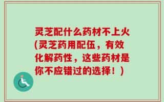 灵芝配什么药材不上火(灵芝药用配伍，有效化解药性，这些药材是你不应错过的选择！)