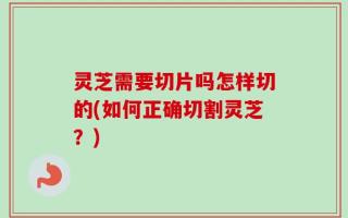 灵芝需要切片吗怎样切的(如何正确切割灵芝？)