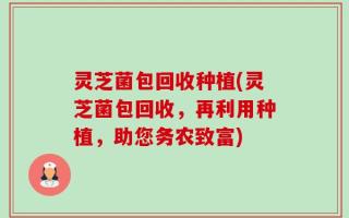 灵芝菌包回收种植(灵芝菌包回收，再利用种植，助您务农致富)