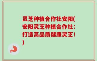 灵芝种植合作社安阳(安阳灵芝种植合作社：打造高品质健康灵芝！)