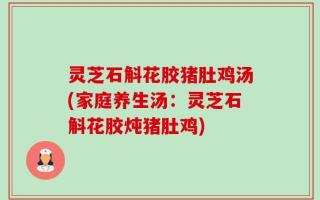 灵芝石斛花胶猪肚鸡汤(家庭养生汤：灵芝石斛花胶炖猪肚鸡)