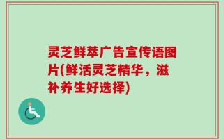 灵芝鲜萃广告宣传语图片(鲜活灵芝精华，滋补养生好选择)