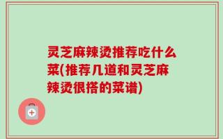 灵芝麻辣烫推荐吃什么菜(推荐几道和灵芝麻辣烫很搭的菜谱)
