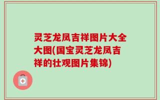 灵芝龙凤吉祥图片大全大图(国宝灵芝龙凤吉祥的壮观图片集锦)
