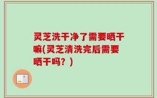 灵芝洗干净了需要晒干嘛(灵芝清洗完后需要晒干吗？)