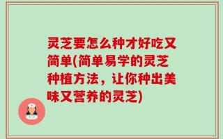 灵芝要怎么种才好吃又简单(简单易学的灵芝种植方法，让你种出美味又营养的灵芝)