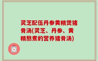 灵芝配伍丹参黄精煲猪骨汤(灵芝、丹参、黄精熬煮的营养猪骨汤)