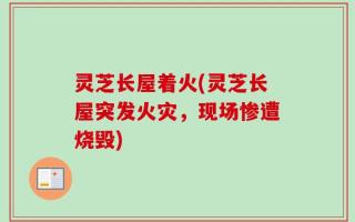 灵芝长屋着火(灵芝长屋突发火灾，现场惨遭烧毁)
