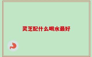 灵芝配什么喝水最好