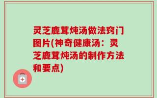 灵芝鹿茸炖汤做法窍门图片(神奇健康汤：灵芝鹿茸炖汤的制作方法和要点)