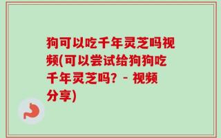 狗可以吃千年灵芝吗视频(可以尝试给狗狗吃千年灵芝吗？- 视频分享)