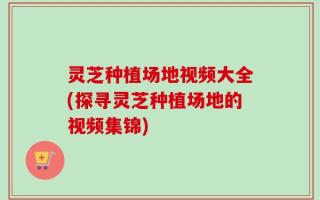 灵芝种植场地视频大全(探寻灵芝种植场地的视频集锦)