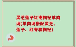 灵芝莲子红枣枸杞羊肉汤(羊肉汤搭配灵芝、莲子、红枣和枸杞)