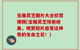 玉雕灵芝图片大全欣赏视频(玉雕灵芝惊艳绝美，观赏短片感受这神奇的生命之花！)